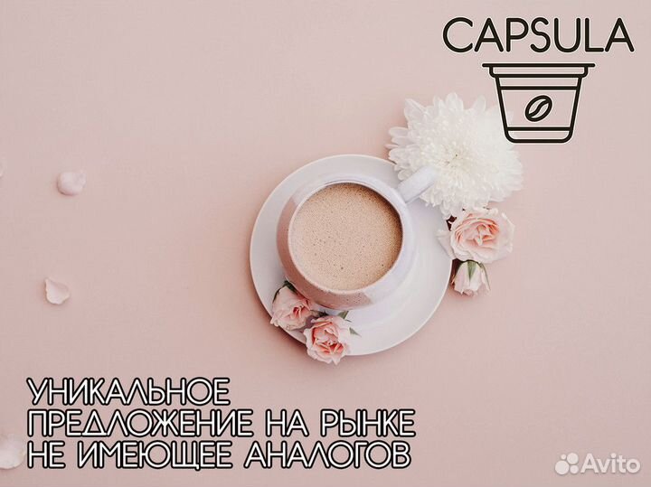Capsula: лучший выбор для вашего бизнеса