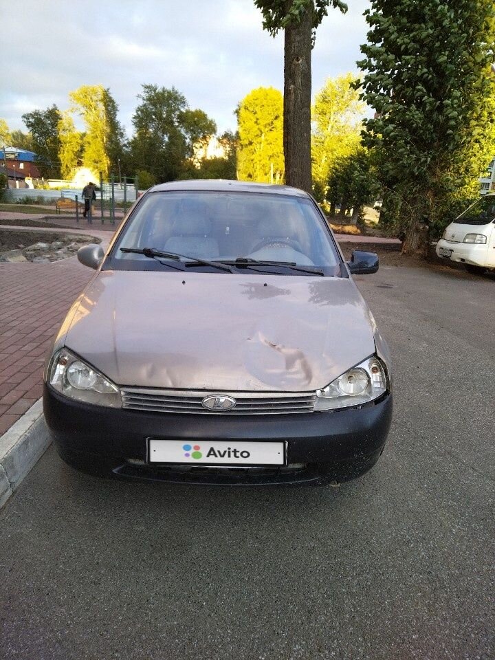 ВАЗ (LADA) Kalina: фото владельца