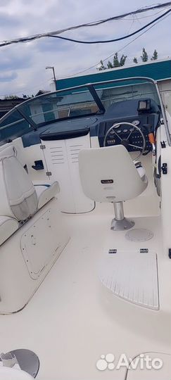 Катер «трофи»