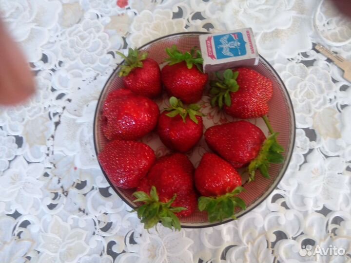 Рассада клубники, картофель, капуста, малина