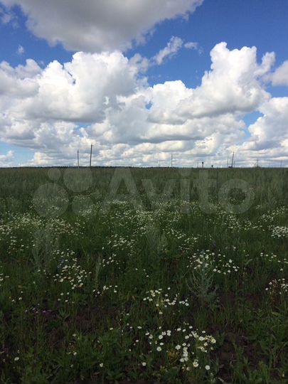 Участок 11,6 сот. (ИЖС)