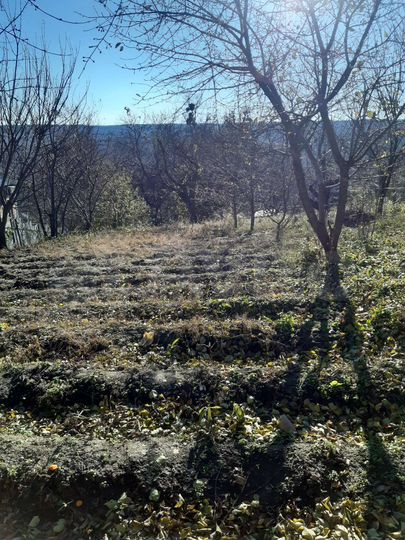 Дом 170 м² на участке 11 сот.