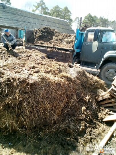 Навоз, перегной (Органические удобрения)