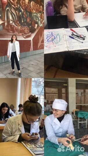 Репетитор по анатомии, гистологии, биохимии