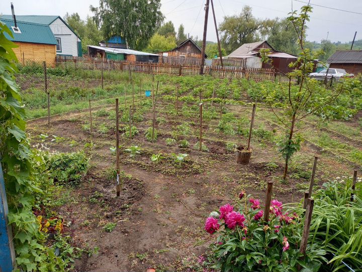 Дом 40 м² на участке 10 сот.