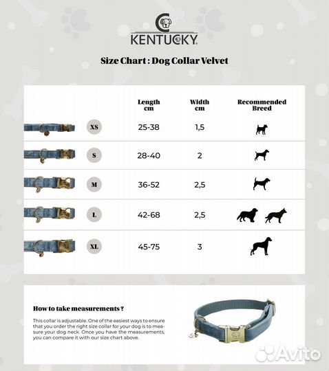 Ошейник для собак Kentucky S