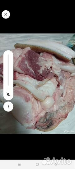 Сало живота свиное