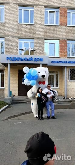 Белый мишка поздравление, Белый медведь