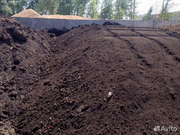 Плодородная земля