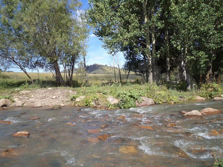 Участок 60 га (СНТ, ДНП)