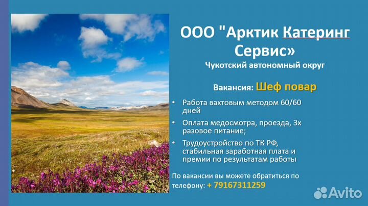 Шеф повар