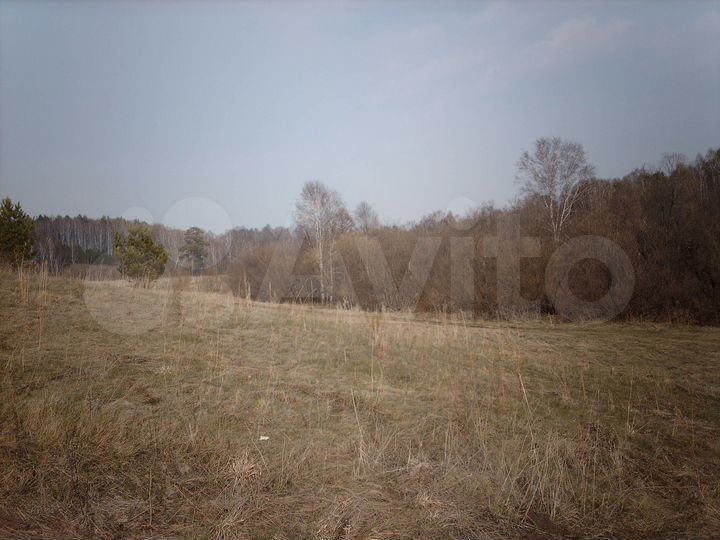 Участок 1,31 га (СНТ, ДНП)