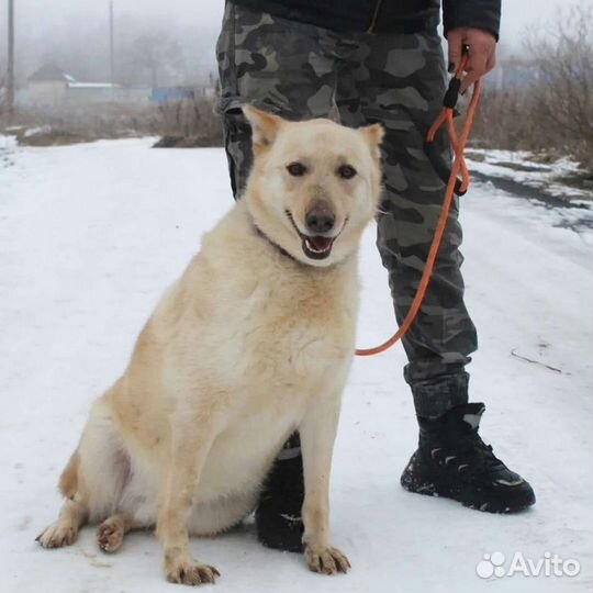 Одна жизнь за двоих