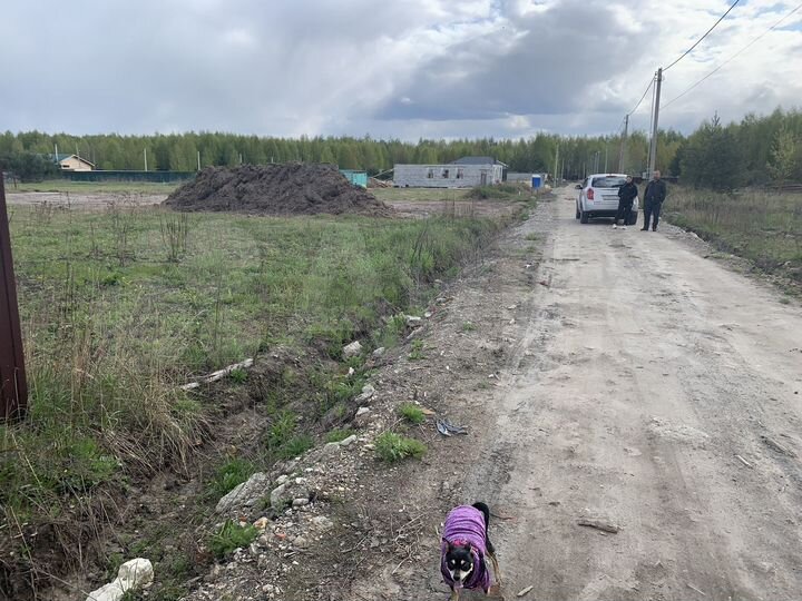 Участок 10 сот. (ИЖС)