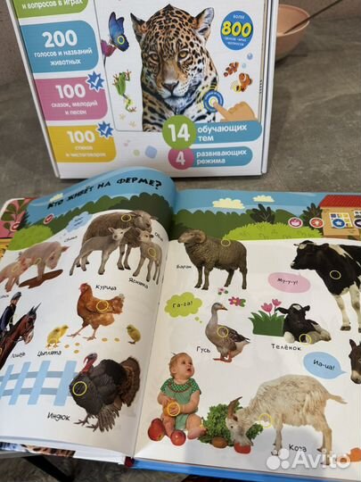 Книга нажималка животные