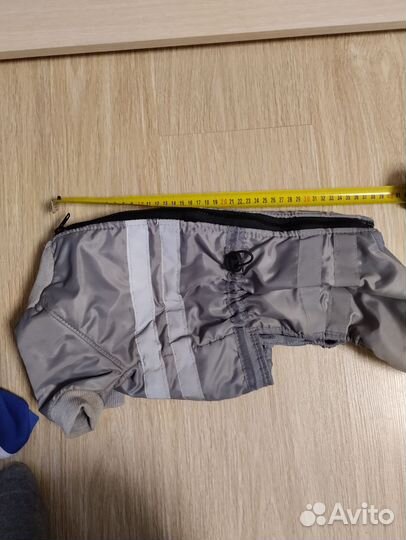 Одежда для маленькой собаки