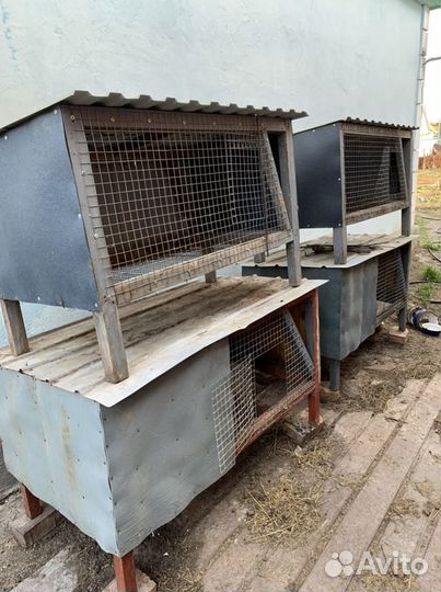 Клетка для кроликов