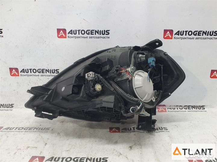 Фара передняя правая nissan teana