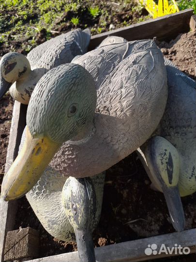 Чучела уток для охоты бу