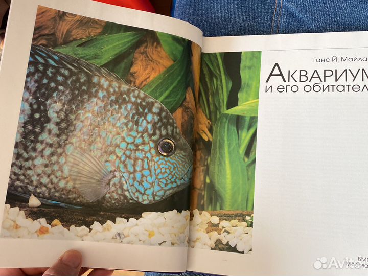 Аквариум и его обитатели