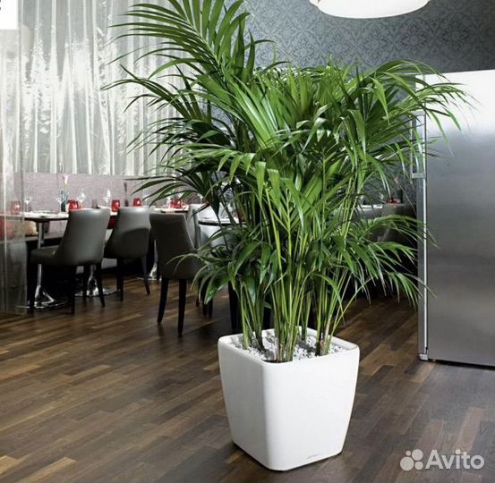 Горшок для цветов напольный Lechuza