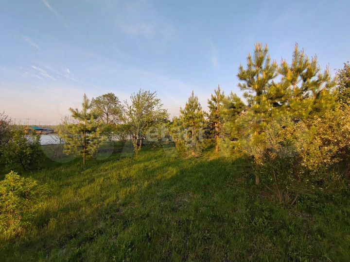 Участок 15,6 сот. (личное подсобное хозяйство (лпх))