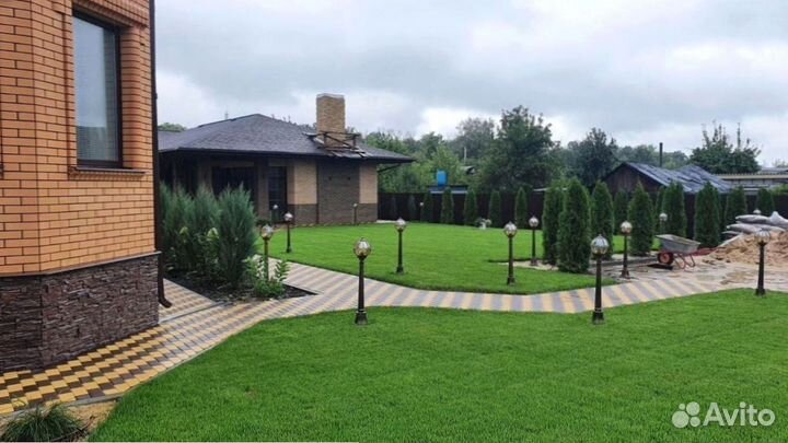 Красивый рулонный газон от профессионалов