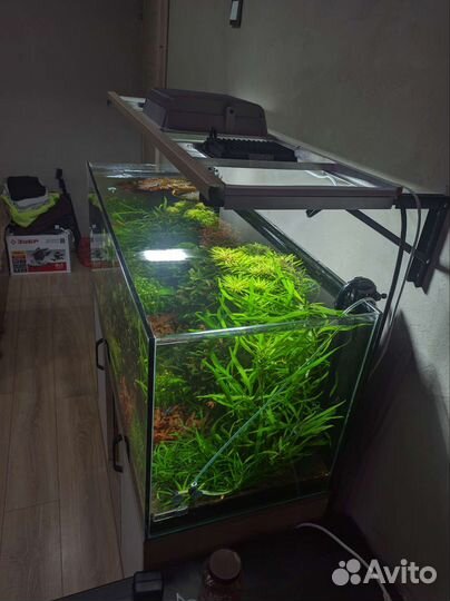 Аквариум с тумбой 250 литров