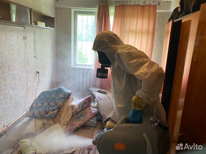 Дезинфекция Уничтожение клопов травить тараканов