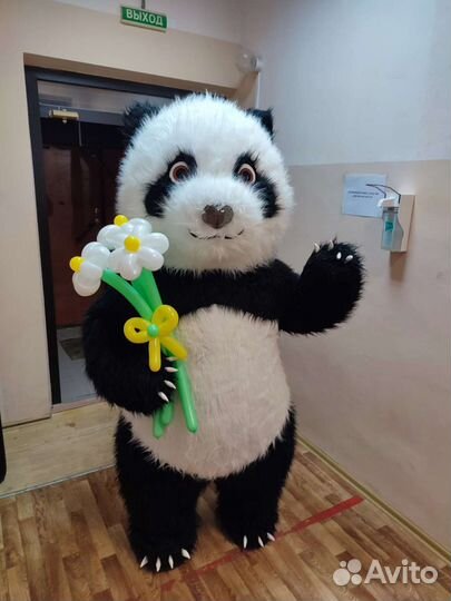 Поздравление