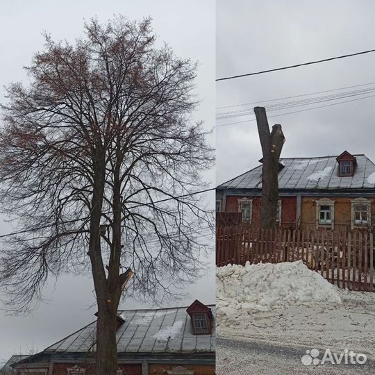 Спил деревьев,Расчистка участков,демонтаж построек