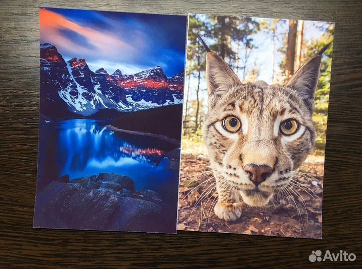 Фото на заказ