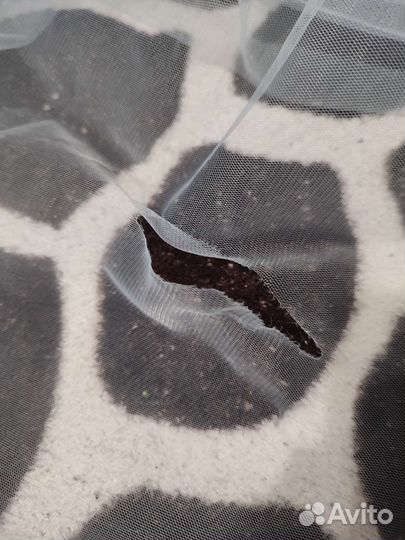 Выпускное платье