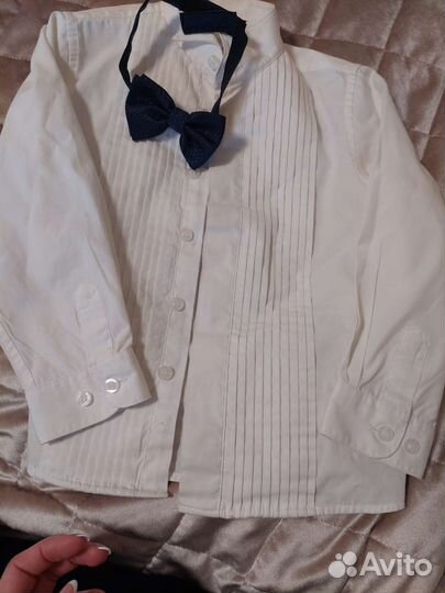 Жилетка, рубашка и бабочка