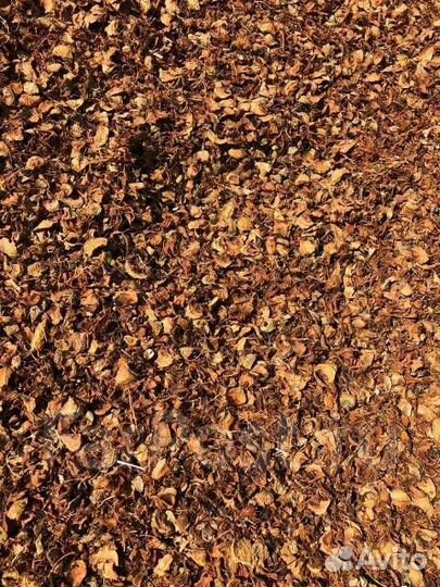 Шелуха кедровой шишки (Тунга) -30л