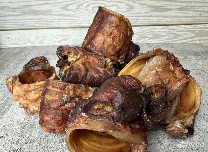 Трахея говяжья сушеная