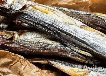 Зубарь икряной Камчатка