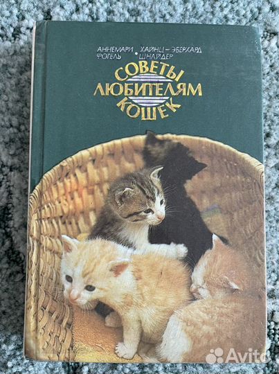 Советы любителям кошек
