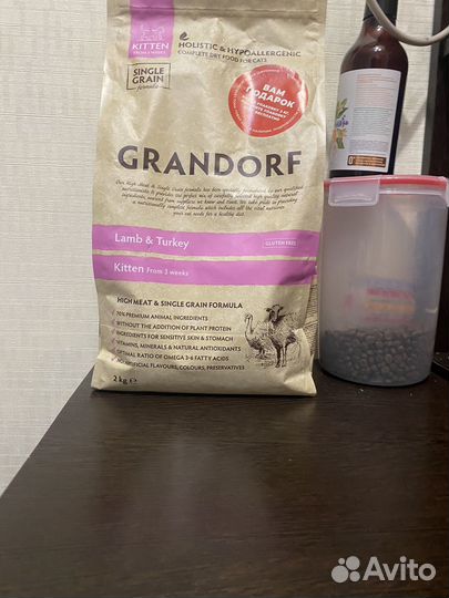 Сухой корм для котят grandorf