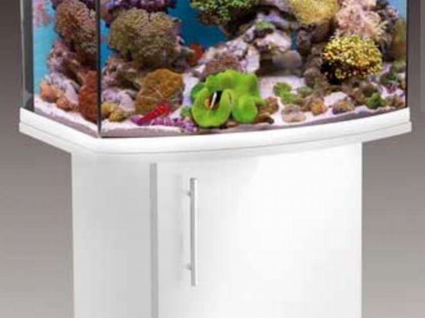 Reefmax 60(105л) морской аквариум+тумба