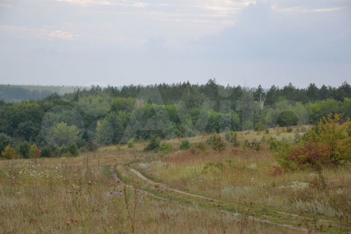 Участок 88,2 га (СНТ, ДНП)