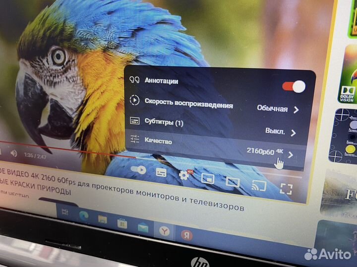 Ноутбук HP 255 G7 (rtl8821ce)