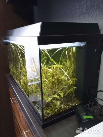 Аквариум Juwel Rio125германия