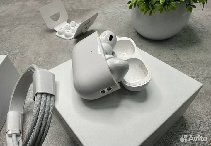 AirPods Pro 2 (Type c, 2024 )
