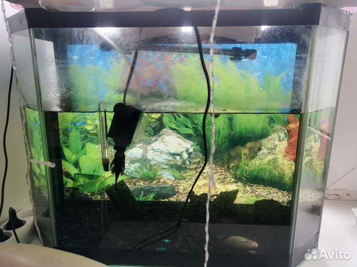 Аквариум 40 литров