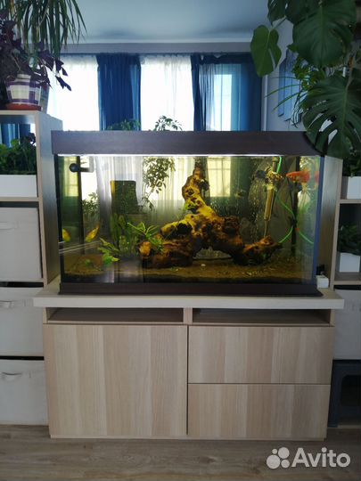 Аквариум с тумбой 250 литров