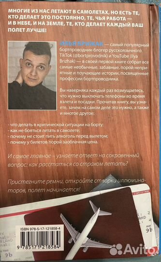 Книга Илья Брижак Будни Бортпроводника