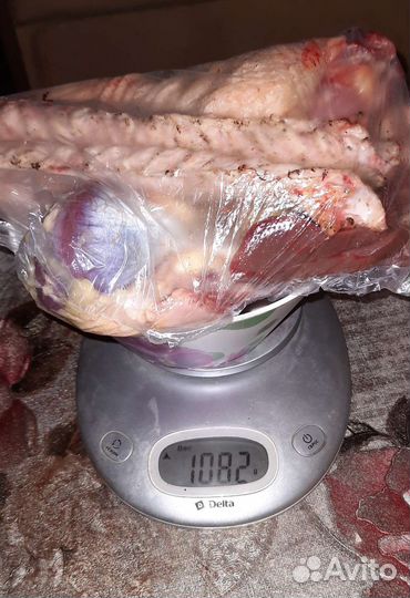 Гуси Мамут Датский