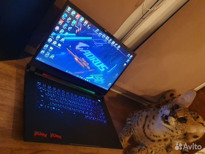 Aorus Мегамощный RTX 4060 8gb. Гарантия