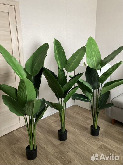 Искусственные цветы растения деревья